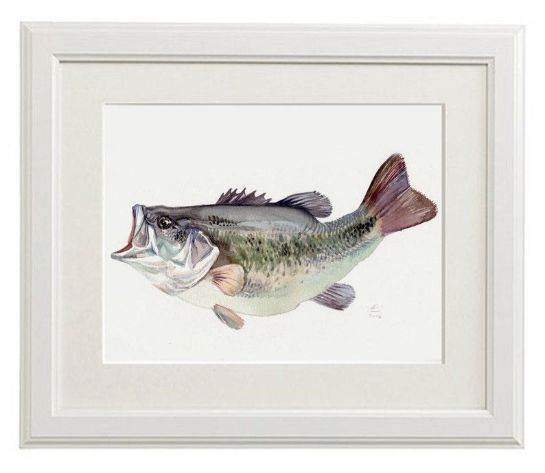 Bass, fish painting, Giclee print of original watercolor image 2