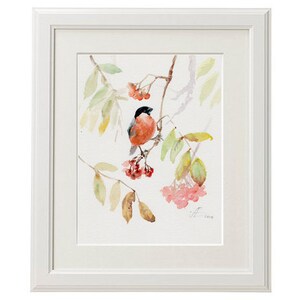 Bullfinch bird print, red bird on a branch with berries GICLEE PRINT of original watercolor image 3