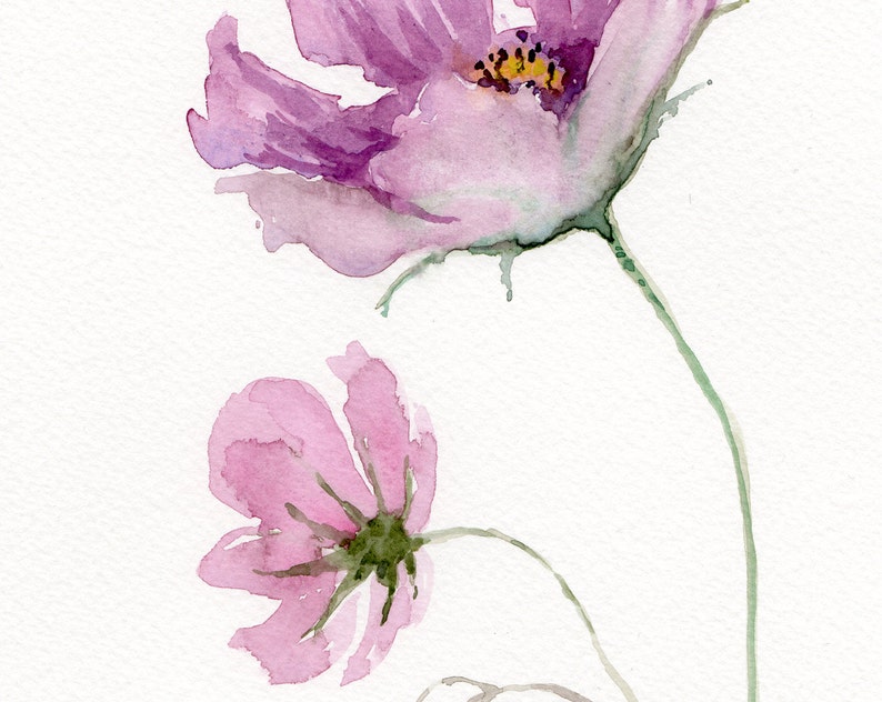 Cosmos Flowers WATERCOLOR original pink flower painting | Etsy