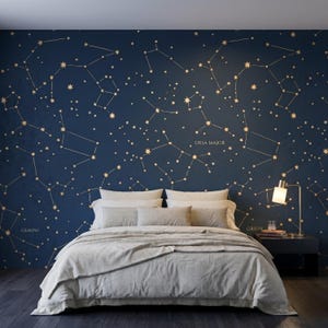 Celestial Constellation Navy Gold Wallpaper, Star Map Nursery Accent Wall