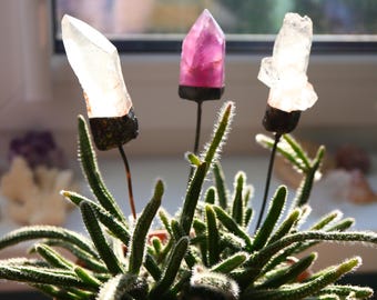 Crystals For Plants, Quartz Crystals Staked Points, Plant Purple fluorite Crystals, Crystals for garden