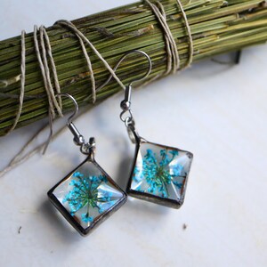 Terrarium Flower Earrings: Anne Lace, Real Blue Flowers