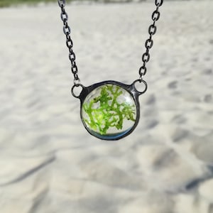 Terrarium Necklace, Unisex silver tin Jewelry, Real Moss Necklace, valentines day, Plant Necklace, Moss Jewelry,Miniature Terrarium