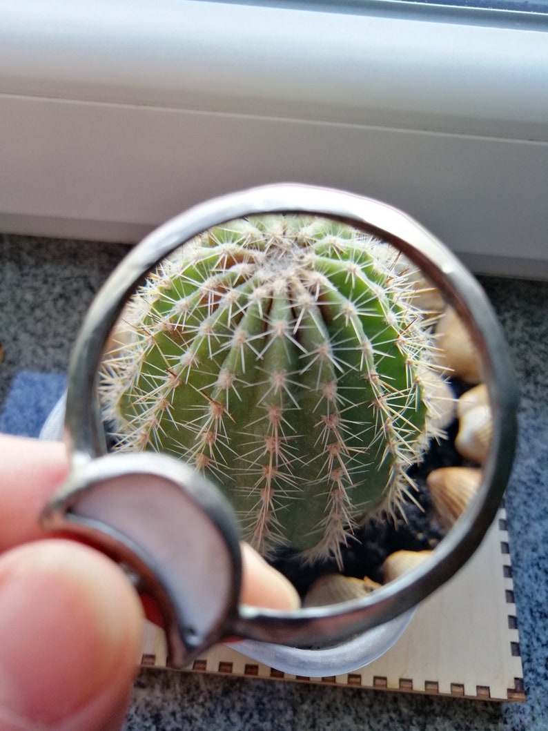 May include: A close-up view of a green cactus with sharp spines, viewed through a magnifying glass. The cactus is in a small, round, white pot, surrounded by small rocks. The magnifying glass has a silver frame and a white handle.