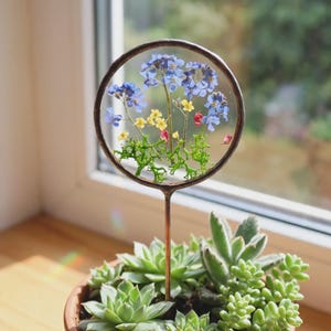 Könnte beinhalten: Ein kreisförmiges Glasornament mit einem dunklen Metallrahmen, das gepresste blaue Vergissmeinnicht, kleine gelbe Blüten und grünes Blattwerk enthält. Das Ornament ist auf einem dünnen Metallstab befestigt, der in einem Terrakottatopf steckt.