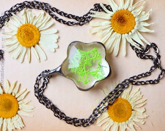Terrarium Necklace: Real Moss Pendant, Botanical Jewelry