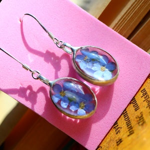 Pendientes de terrario no me olvides, pendientes de gancho de acero inoxidable, pendientes de terrario azul, pendientes de flores naturales, regalo para ella