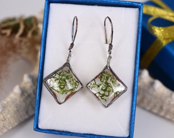 Real Moss Silver Earrings, women gift, Silver earrings, moss terrarium earrings, natural moss, Green Moss earrigs,Nature Jewelry