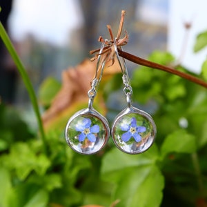 Pressed flower Forget me not Earrings, Stainless Steel  earrings  hooks, blue Jewelry, bridesmaid gift