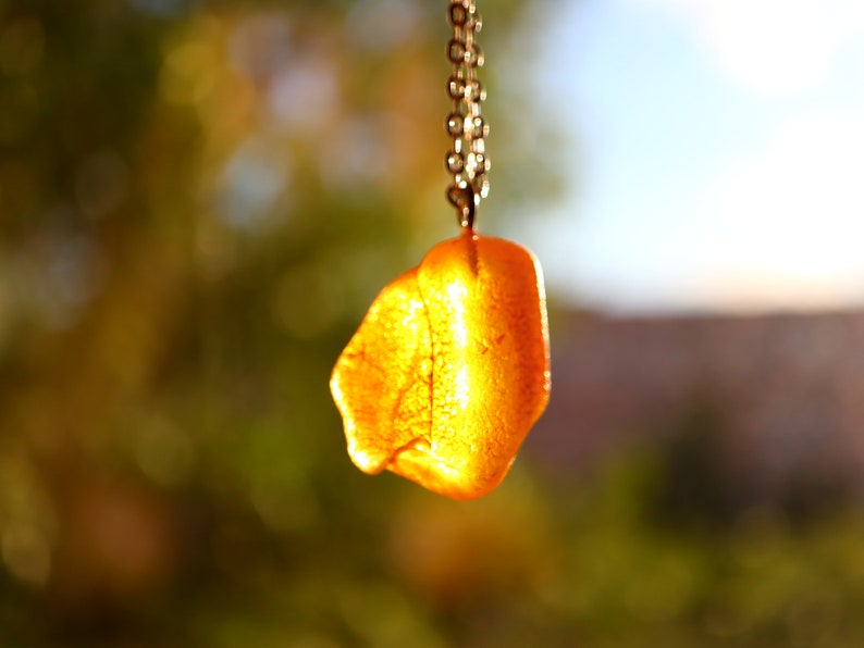 Mom Gift for Her, Natural Necklace, Fossil Necklace, Bustani Etsy