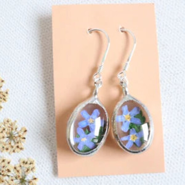 Boucles d'oreilles terrarium myosotis, boucles d'oreilles en argent, boucles d'oreilles terrarium bleu, boucles d'oreilles fleurs naturelles, cadeau pour elle, cadeau fille, cadeau femme