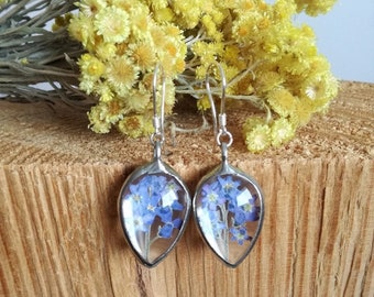 Silver forget me not  flower Earrings, Blue flower Earrings, Terrarium earrings, Terarium jewelry