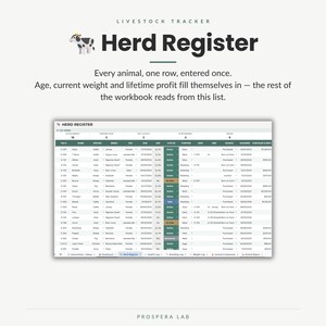 Pu&ograve; includere: Un foglio di calcolo digitale per il monitoraggio del bestiame intitolato Herd Register, con un'icona di mucca e colonne per numero di tag, nome, specie, razza, sesso, data di nascita, et&agrave;, stato, scopo, padre, madre, origine e prezzo.