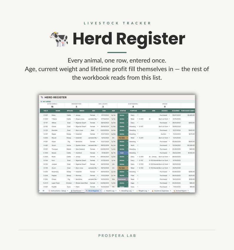 Pu&ograve; includere: Un foglio di calcolo digitale per il monitoraggio del bestiame intitolato Herd Register, con un'icona di mucca e colonne per numero di tag, nome, specie, razza, sesso, data di nascita, et&agrave;, stato, scopo, padre, madre, origine e prezzo.