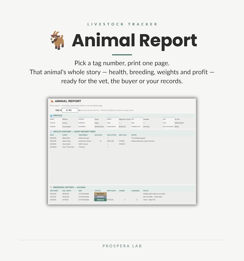 Pu&ograve; includere: Un modello digitale di rapporto animale per il monitoraggio del bestiame con un'icona di capra e testo. Il documento include sezioni per profilo, storia sanitaria e storia riproduttiva, con un peso attuale indicato di 84,0 lbs nel campo.
