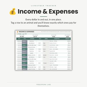 Pu&ograve; includere: Un foglio di calcolo digitale per il monitoraggio del bestiame intitolato Income & Expenses. L'interfaccia mostra colonne per data, tipo, categoria, numero di tag, animale, descrizione e importo. Un'icona di sacco di denaro &egrave; in alto a sinistra.