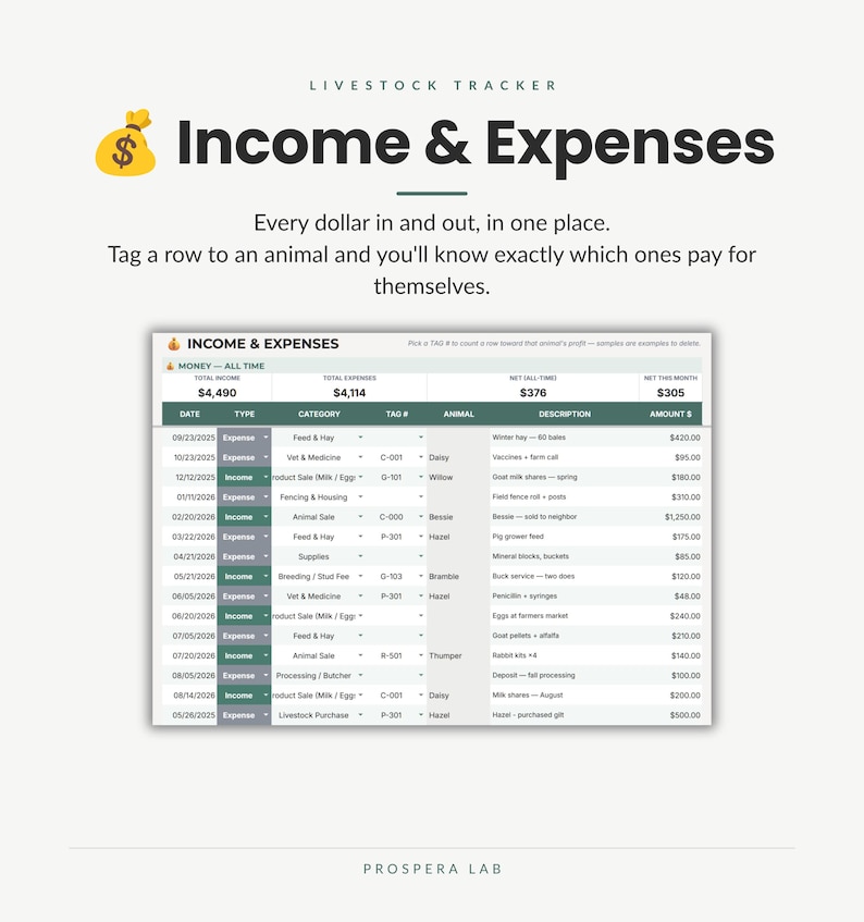 Pu&ograve; includere: Un foglio di calcolo digitale per il monitoraggio del bestiame intitolato Income & Expenses. L'interfaccia mostra colonne per data, tipo, categoria, numero di tag, animale, descrizione e importo. Un'icona di sacco di denaro &egrave; in alto a sinistra.