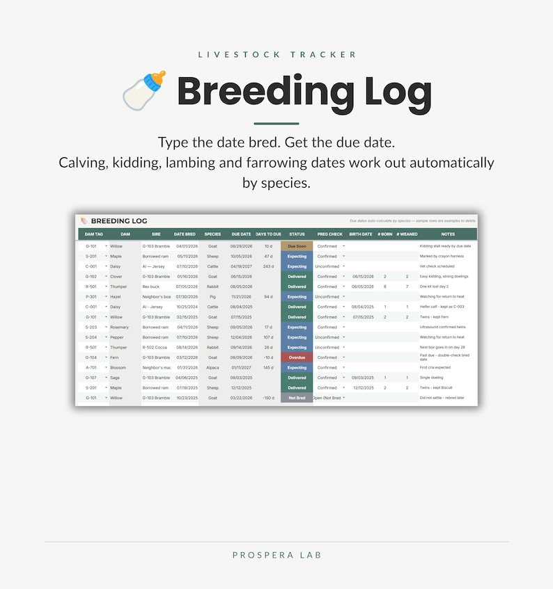 Pu&ograve; includere: Un registro di allevamento digitale per il monitoraggio del bestiame con colonne per tag della madre, padre, data di accoppiamento, specie, data prevista, giorni al parto, stato, controllo gravidanza, data di nascita, nati e note.