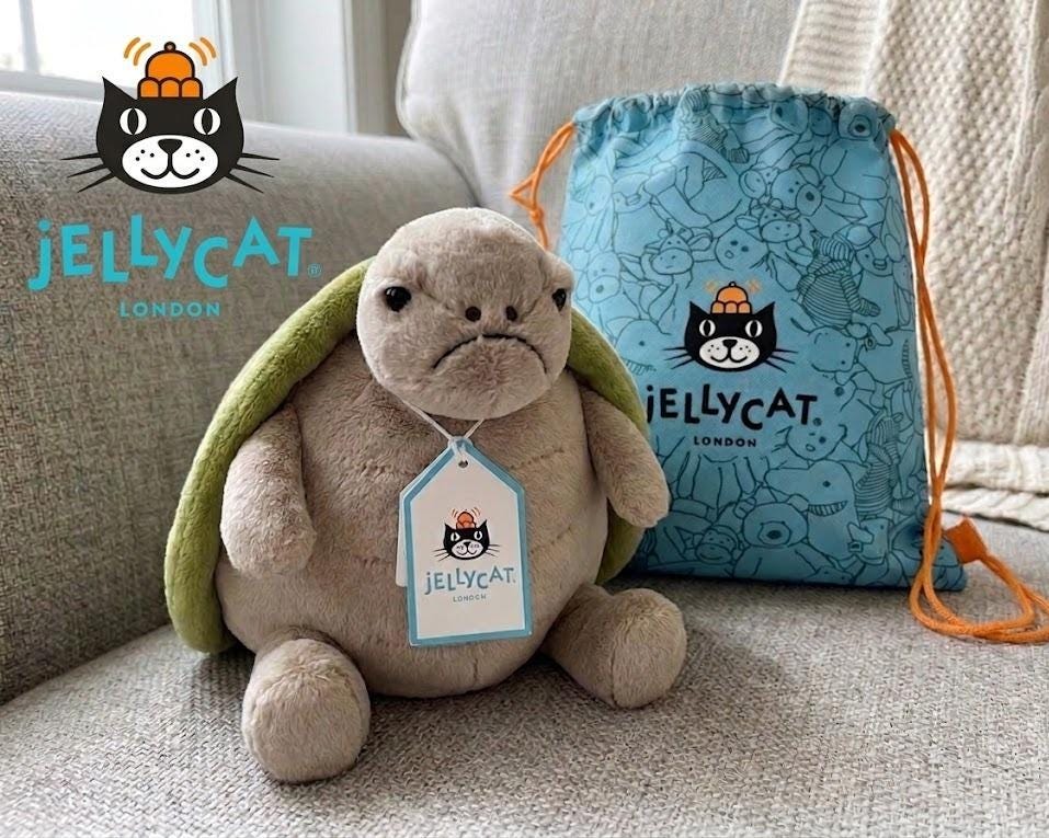 Timmy turtle - Etsy 日本