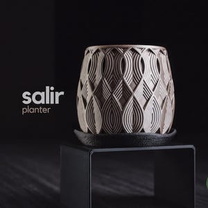 Salir Planter: Contemporary Succulent Pot (Sculptural, Indoor Use)