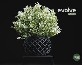 Maceta Evolve / Maceta moderna y escultural para suculentas, soporte minimalista para interiores