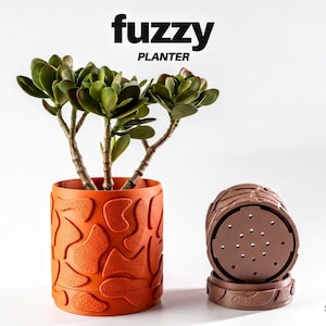 Modern Succulent Pot, Fuzzy Texture Planter (Small and Medium Sizes)