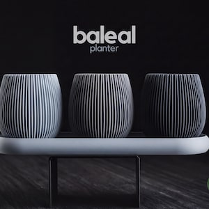 Ribbed Triple Planter Set - Modern Succulent Pots with Tray