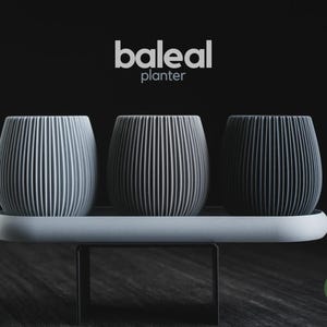May include: Three rounded planters with vertical ribbed textures in light gray, medium gray, and dark gray, arranged on a light gray oval tray. The text "baleal planter" appears above the items, and a green circular "h3liø design" logo is visible.