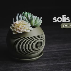 Solis Planter, Sculptural Indoor Pot (Succulents, Small Plants)