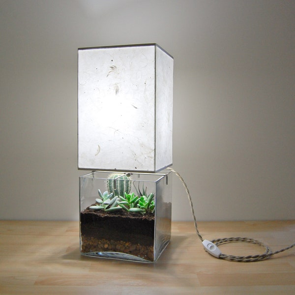 Large Square Column Terrarium/Display Table Lamp, with Handmade Paper Lampshade