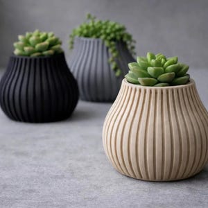 May include: Three rounded, ribbed planters in black, grey, and beige, each containing a green succulent plant. The planters feature a vertical fluted texture and a wide, bulbous shape, arranged in a cluster on a neutral, textured surface.