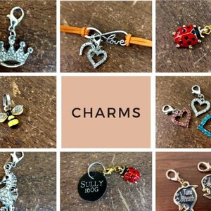 May include: A collection of metal charms featuring various designs including a rhinestone crown, a ladybug, a bee, a seahorse, heart shapes, and circular tags with text reading SULLY 160G and TUNA BREATH, all equipped with silver or gold lobster clasps.