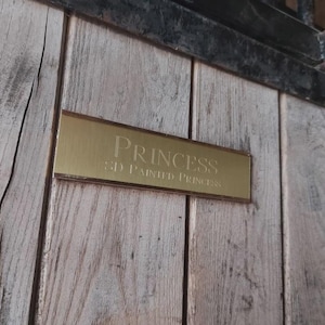May include: A rectangular gold-toned metal plaque with engraved text reading PRINCESS and SD PAINTED PRINCESS, mounted on a vertical light brown wooden surface with visible grain and a dark horizontal frame at the top edge.