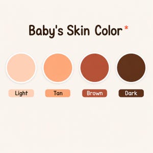 K&ouml;nnte beinhalten: Eine Farbauswahltabelle mit dem Titel Baby's Skin Color und einem Sternchen. Sie zeigt vier kreisf&ouml;rmige Farbfelder in hellen, gebr&auml;unten, braunen und dunklen T&ouml;nen, die jeweils mit dem Farbnamen in einem abgerundeten Kasten beschriftet sind.