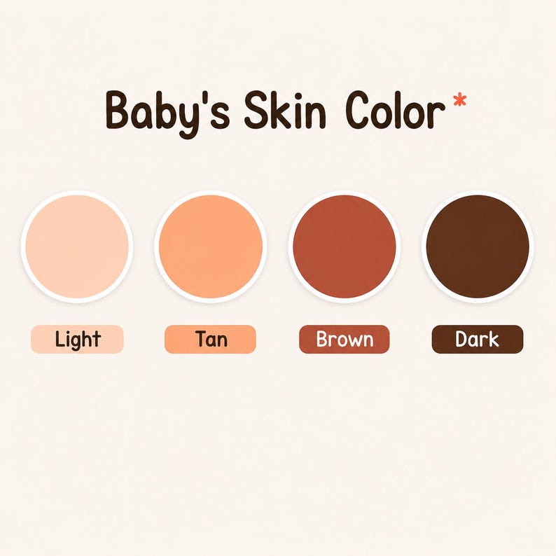 K&ouml;nnte beinhalten: Eine Farbauswahltabelle mit dem Titel Baby's Skin Color und einem Sternchen. Sie zeigt vier kreisf&ouml;rmige Farbfelder in hellen, gebr&auml;unten, braunen und dunklen T&ouml;nen, die jeweils mit dem Farbnamen in einem abgerundeten Kasten beschriftet sind.