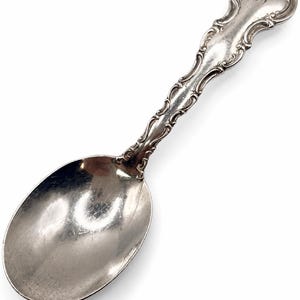 May include: A silver-toned metal spoon featuring an ornate, embossed handle with scrollwork detailing and a script monogram letter engraved at the top. The bowl of the spoon is smooth and reflective, showing light reflections on its surface.