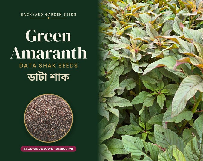 Data Shak Stem Amaranth 300+ Seeds, Heirloom Non-GMO Bengali Vegetable