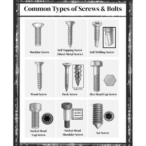 Può includere: Un grafico intitolato Common Types of Screws & Bolts che mostra nove elementi di fissaggio color argento: vite meccanica, vite autofilettante, vite autoperforante, vite da legno, vite per decking, vite a testa esagonale, vite a brugola, vite a spallamento e grano.