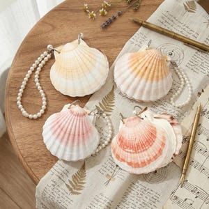 Natural Shell Blank Notepad Pearl Bead Memo Pad Loose Leaf Binder Mermaidcore Beach Wedding Favor Figurine