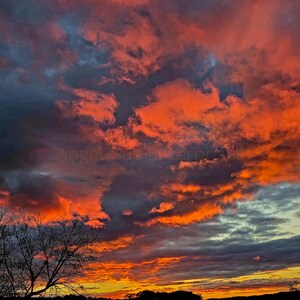 Puede incluir: Una vibrante puesta de sol muestra un cielo dramático lleno de nubes de color naranja y rojo fuego sobre un fondo de tonos azul oscuro y gris. Las ramas de los árboles silueteadas enmarcan la esquina inferior izquierda, con un atisbo del horizonte debajo.