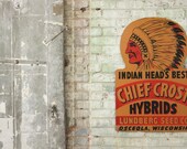 Vintage 1940's Indian Head's Best Seed Sign