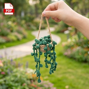 May include: A small, crocheted hanging plant featuring dark green, bead-like foliage trailing from a tan, woven basket. The plant is suspended by a matching tan, braided twine hanger, creating a miniature, textured botanical display.