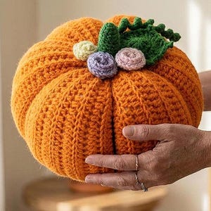 Può includere: Una zucca rotonda lavorata all'uncinetto di colore arancione con una superficie testurizzata e a coste. La parte superiore è decorata con una foglia verde all'uncinetto, un piccolo fiore color crema, uno lilla e uno rosa tenue.