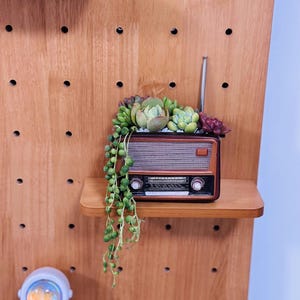 May include: A miniature vintage-style radio planter with a brown and tan finish, holding a variety of succulents. The radio is placed on a wooden shelf against a wooden pegboard background. A small astronaut figurine is visible.