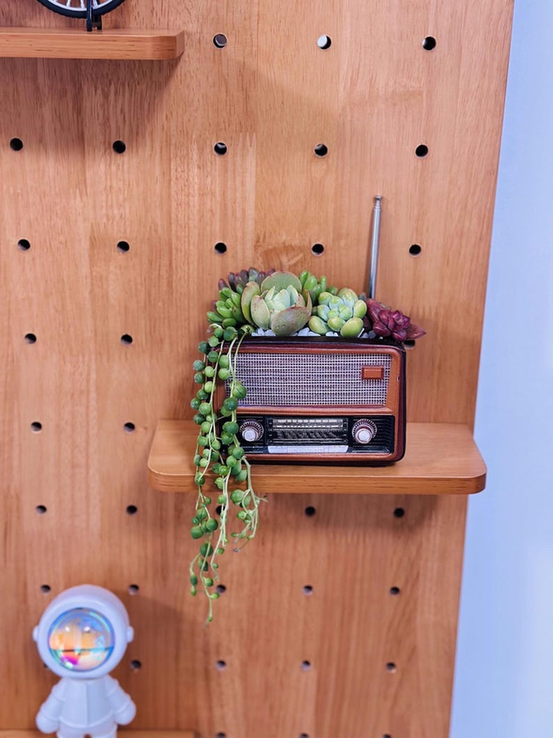 May include: A miniature vintage-style radio planter with a brown and tan finish, holding a variety of succulents. The radio is placed on a wooden shelf against a wooden pegboard background. A small astronaut figurine is visible.
