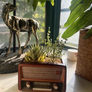 May include: A brown ceramic planter shaped like a vintage radio, filled with small green and yellow succulents and plants. The radio planter has a speaker grill, dials, and a dark brown finish. A gold deer statue is in the background.