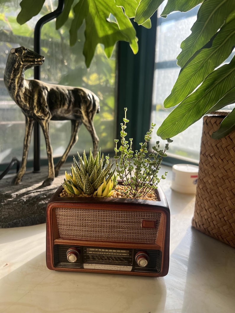 May include: A brown ceramic planter shaped like a vintage radio, filled with small green and yellow succulents and plants. The radio planter has a speaker grill, dials, and a dark brown finish. A gold deer statue is in the background.