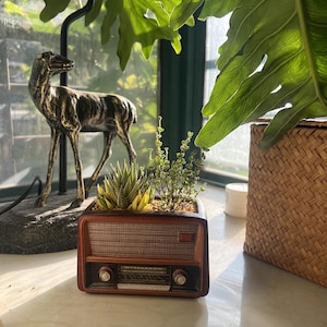 May include: A brown, retro-style radio planter filled with succulents and small green plants. The planter has a speaker grill and control knobs. A bronze deer statue and woven basket are in the background.
