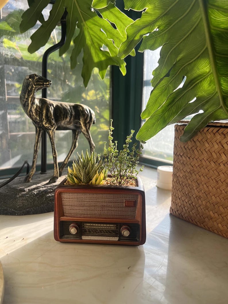 May include: A brown, retro-style radio planter filled with succulents and small green plants. The planter has a speaker grill and control knobs. A bronze deer statue and woven basket are in the background.