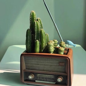 Maceta para suculentas con forma de radio retro – Decoración de escritorio de estilo vintage y moderno de mediados de siglo